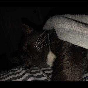 Meet your Posher, Alexa